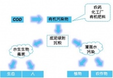 在線水質(zhì)監(jiān)測知識篇-化學(xué)需氧量COD