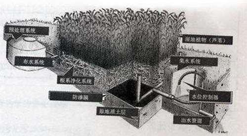 人工濕地生活污水處理技術(shù)分析