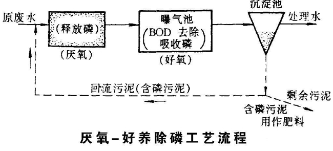 生物除磷的主要影響因子